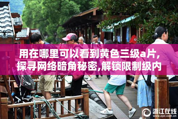 用在哪里可以看到黄色三级a片,探寻网络暗角秘密,解锁限制级内容