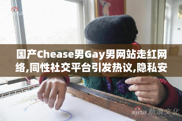 国产Chease男Gay男网站走红网络,同性社交平台引发热议,隐私安全