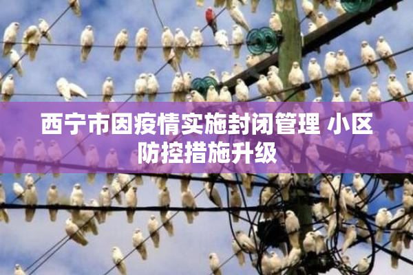 西宁市因疫情实施封闭管理 小区防控措施升级