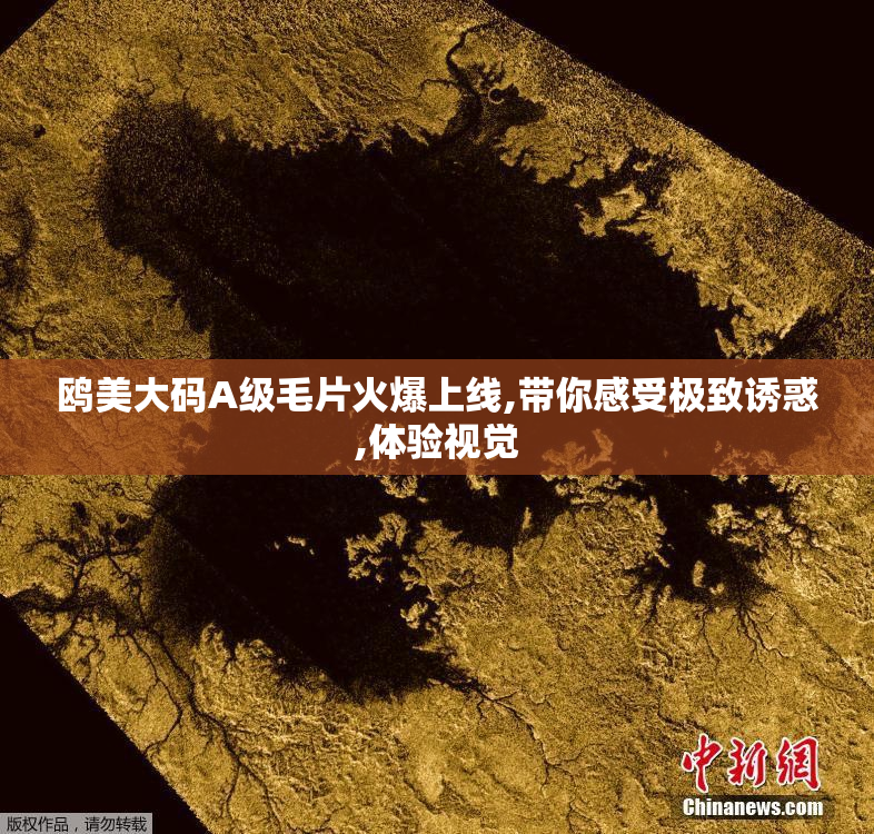 鸥美大码A级毛片火爆上线,带你感受极致诱惑,体验视觉