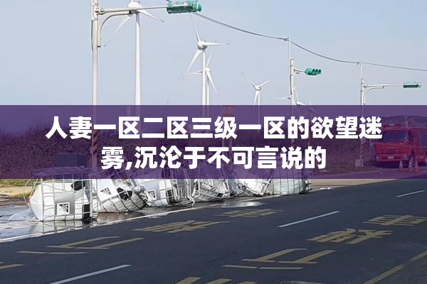人妻一区二区三级一区的欲望迷雾,沉沦于不可言说的