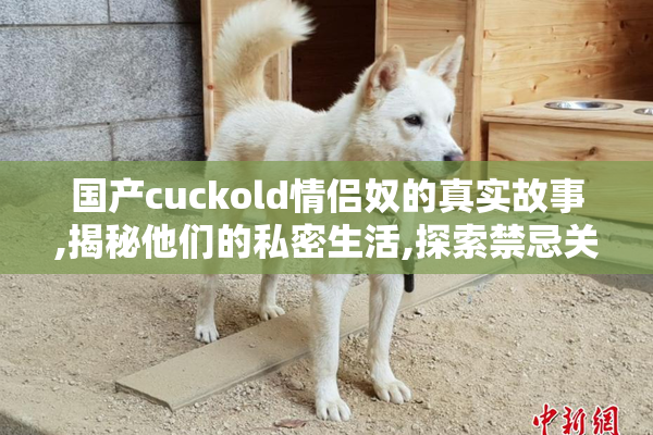 国产cuckold情侣奴的真实故事,揭秘他们的私密生活,探索禁忌关系的