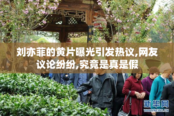 刘亦菲的黄片曝光引发热议,网友议论纷纷,究竟是真是假