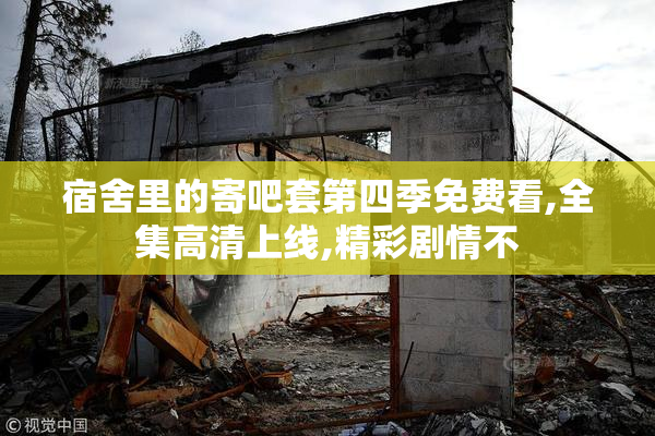 宿舍里的寄吧套第四季免费看,全集高清上线,精彩剧情不