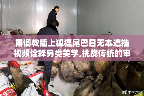 用调教插上狐狸尾巴日无本遮挡视频诠释另类美学,挑战传统的审美
