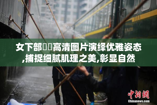 女下部㊙️高清图片演绎优雅姿态,捕捉细腻肌理之美,彰显自然