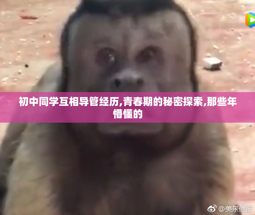 初中同学互相导管经历,青春期的秘密探索,那些年懵懂的