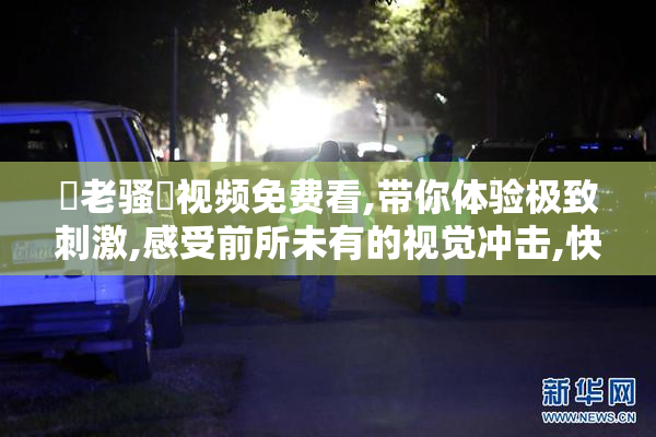 肏老骚屄视频免费看,带你体验极致刺激,感受前所未有的视觉冲击,快