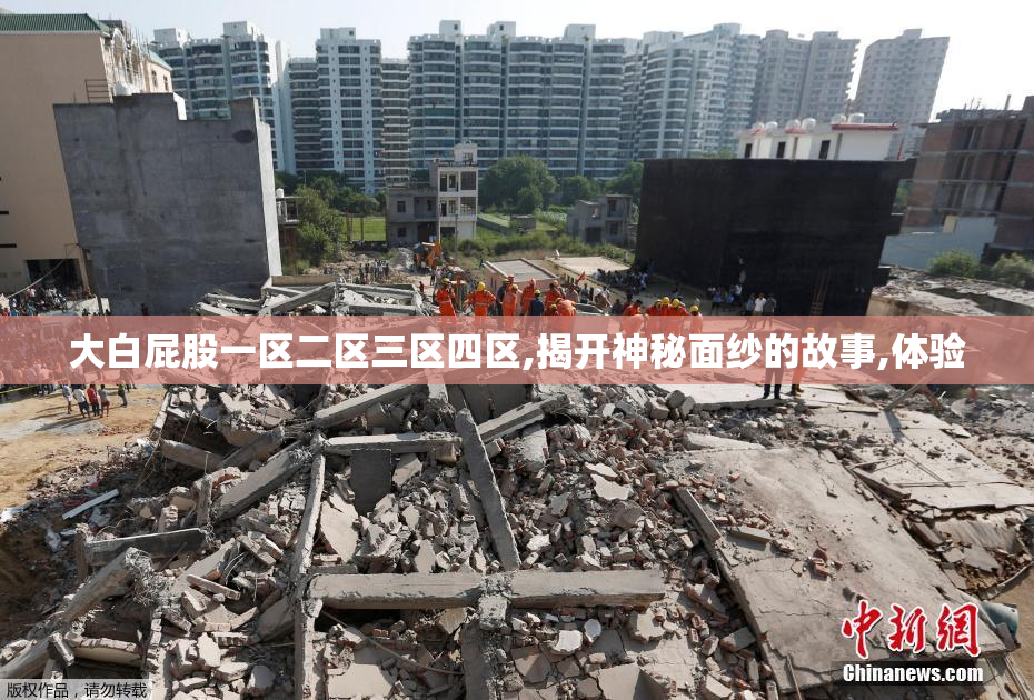 大白屁股一区二区三区四区,揭开神秘面纱的故事,体验