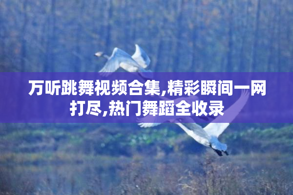 万听跳舞视频合集,精彩瞬间一网打尽,热门舞蹈全收录
