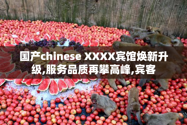 国产chinese XXXX宾馆焕新升级,服务品质再攀高峰,宾客