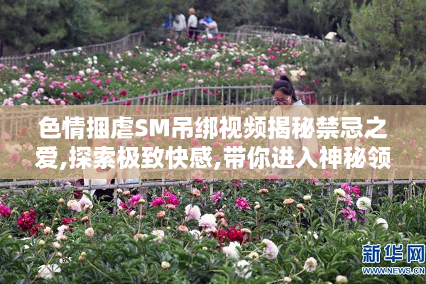 色情捆虐SM吊绑视频揭秘禁忌之爱,探索极致快感,带你进入神秘领域