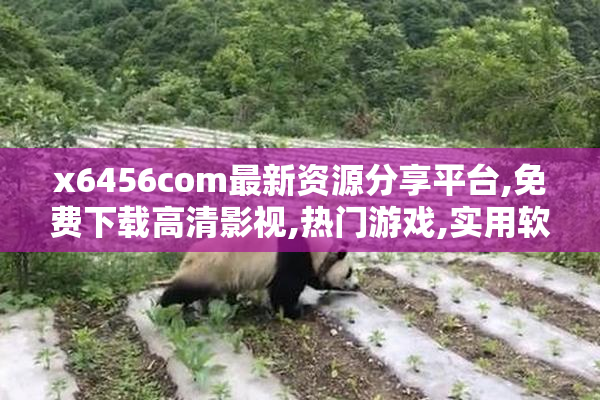 x6456com最新资源分享平台,免费下载高清影视,热门游戏,实用软件大全