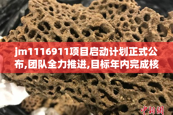 jm1116911项目启动计划正式公布,团队全力推进,目标年内完成核心开发