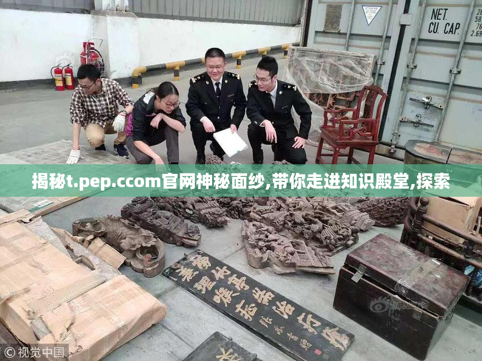揭秘t.pep.ccom官网神秘面纱,带你走进知识殿堂,探索