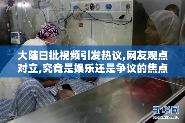 大陆日批视频引发热议,网友观点对立,究竟是娱乐还是争议的焦点