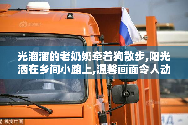 光溜溜的老奶奶牵着狗散步,阳光洒在乡间小路上,温馨画面令人动容