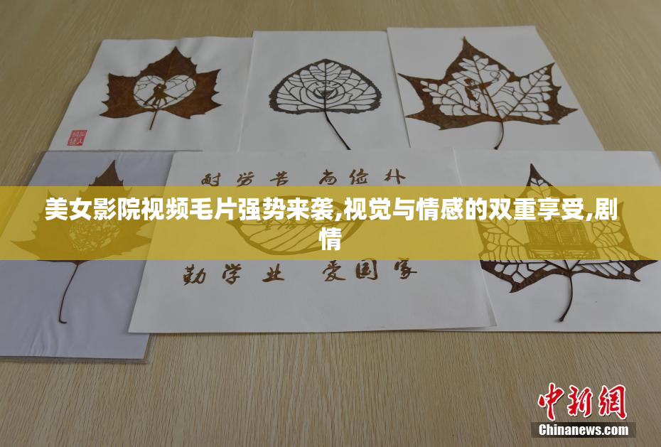 美女影院视频毛片强势来袭,视觉与情感的双重享受,剧情
