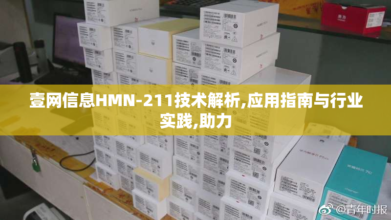 壹网信息HMN-211技术解析,应用指南与行业实践,助力