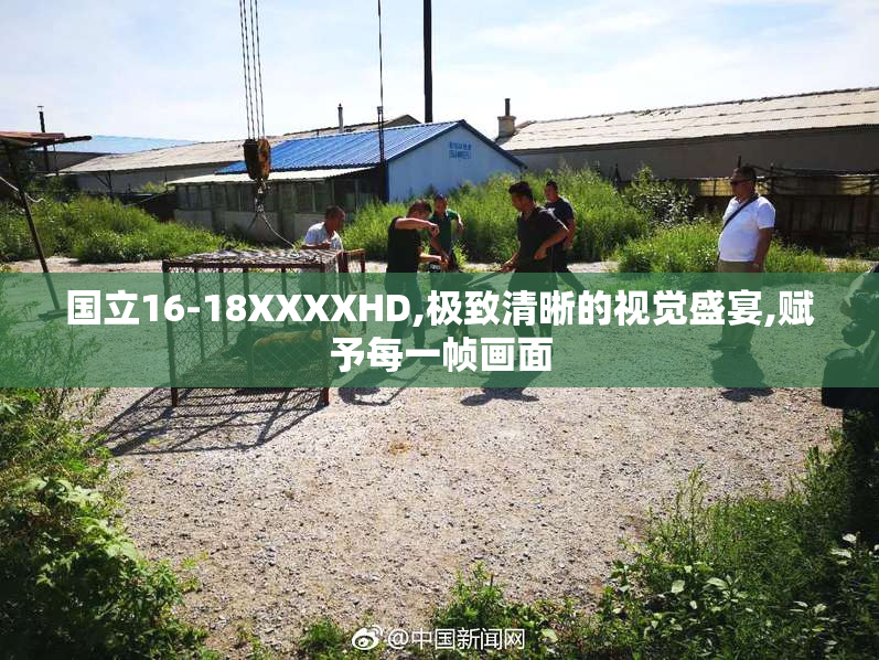 国立16-18XXXXHD,极致清晰的视觉盛宴,赋予每一帧画面