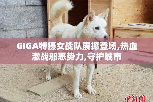 GIGA特摄女战队震撼登场,热血激战邪恶势力,守护城市