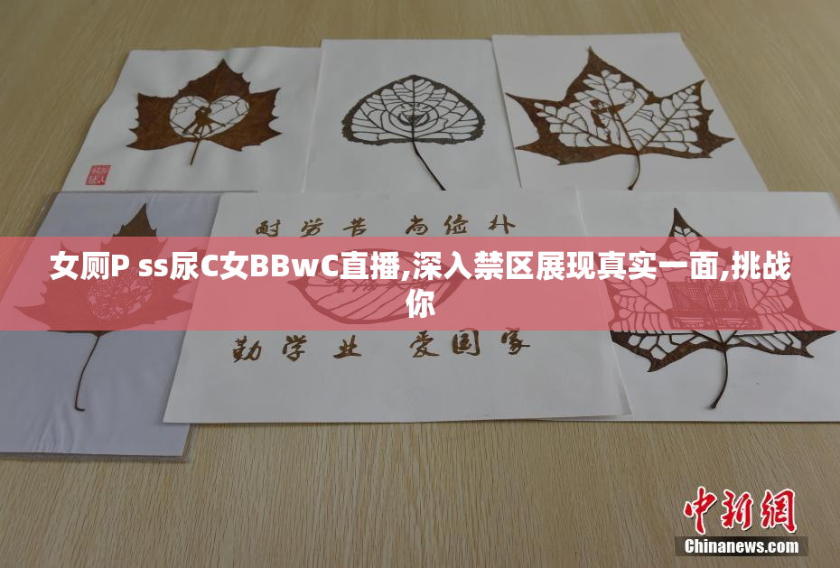 女厕P ss尿C女BBwC直播,深入禁区展现真实一面,挑战你