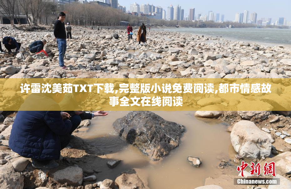 许雷沈美茹TXT下载,完整版小说免费阅读,都市情感故事全文在线阅读
