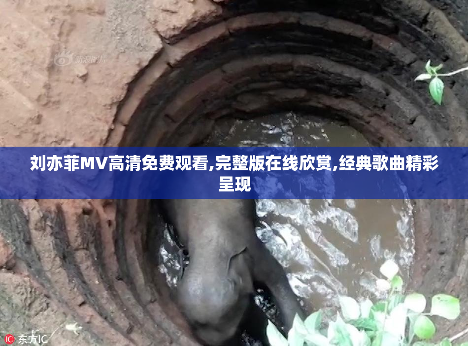 刘亦菲MV高清免费观看,完整版在线欣赏,经典歌曲精彩呈现