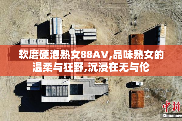 软磨硬泡熟女88AV,品味熟女的温柔与狂野,沉浸在无与伦