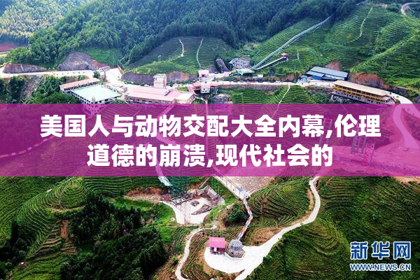 美国人与动物交配大全内幕,伦理道德的崩溃,现代社会的