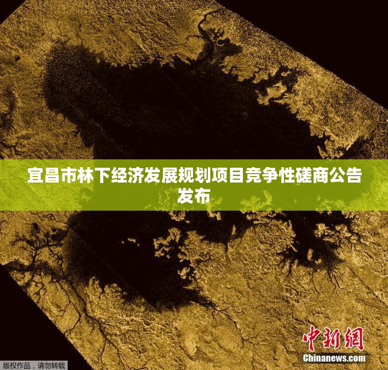 宜昌市林下经济发展规划项目竞争性磋商公告发布