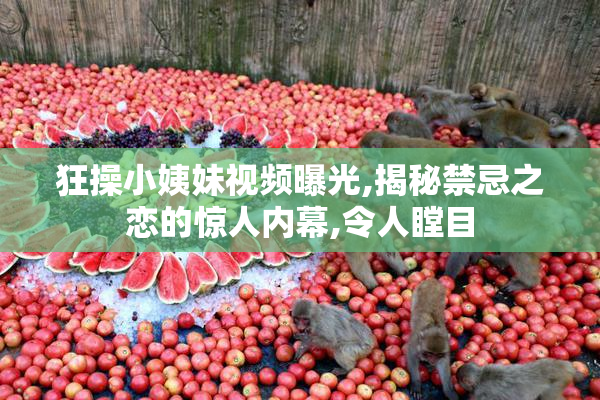 狂操小姨妹视频曝光,揭秘禁忌之恋的惊人内幕,令人瞠目