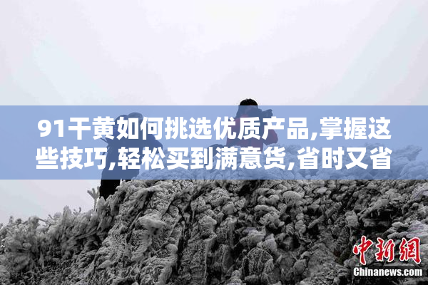 91干黄如何挑选优质产品,掌握这些技巧,轻松买到满意货,省时又省心