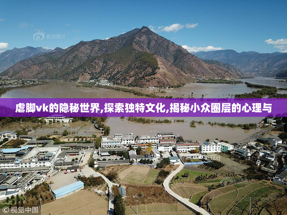 虐脚vk的隐秘世界,探索独特文化,揭秘小众圈层的心理与