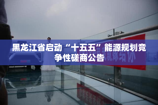 黑龙江省启动“十五五”能源规划竞争性磋商公告