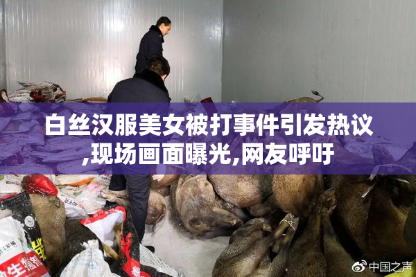 白丝汉服美女被打事件引发热议,现场画面曝光,网友呼吁