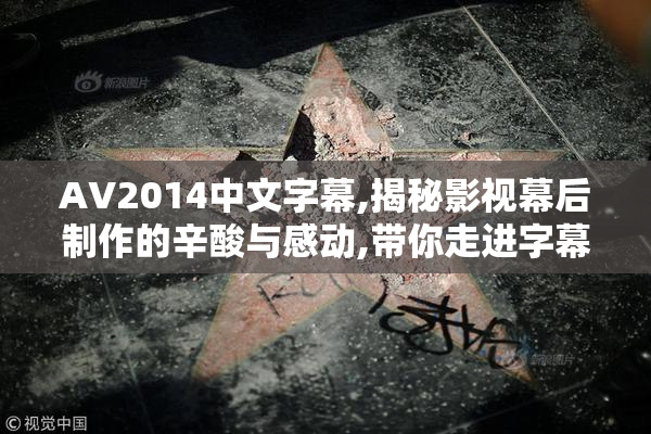 AV2014中文字幕,揭秘影视幕后制作的辛酸与感动,带你走进字幕组的