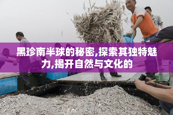 黑珍南半球的秘密,探索其独特魅力,揭开自然与文化的