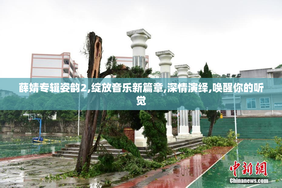 薛婧专辑姿韵2,绽放音乐新篇章,深情演绎,唤醒你的听觉