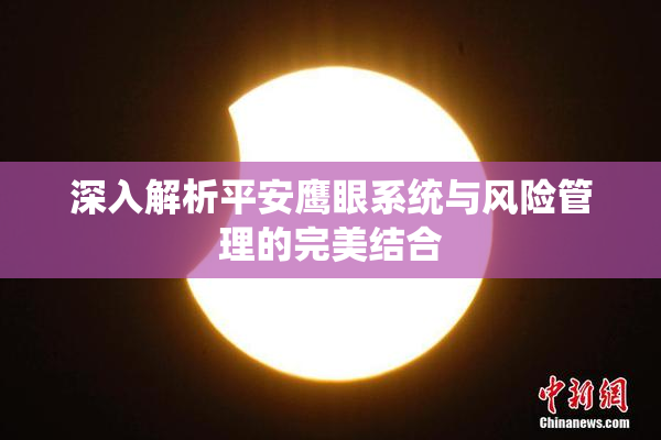 深入解析平安鹰眼系统与风险管理的完美结合