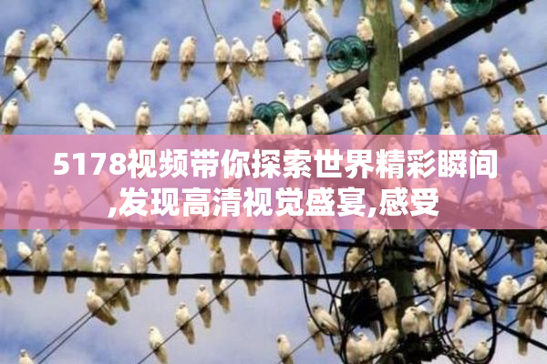 5178视频带你探索世界精彩瞬间,发现高清视觉盛宴,感受