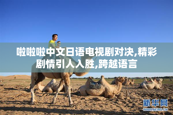 啦啦啦中文日语电视剧对决,精彩剧情引人入胜,跨越语言