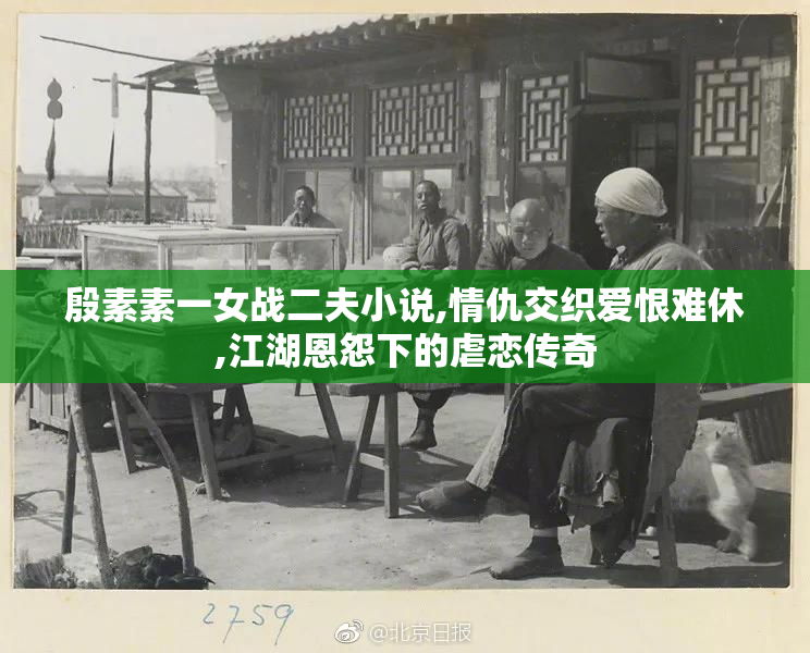 殷素素一女战二夫小说,情仇交织爱恨难休,江湖恩怨下的虐恋传奇