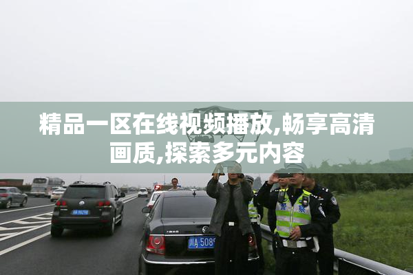 精品一区在线视频播放,畅享高清画质,探索多元内容