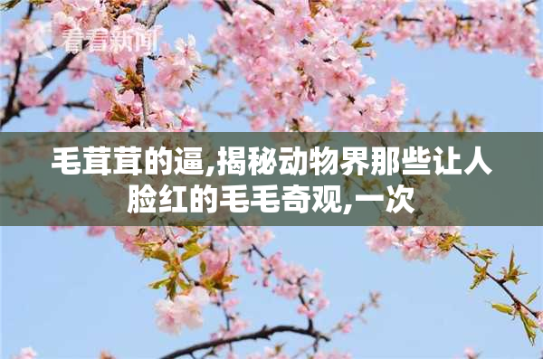 毛茸茸的逼,揭秘动物界那些让人脸红的毛毛奇观,一次
