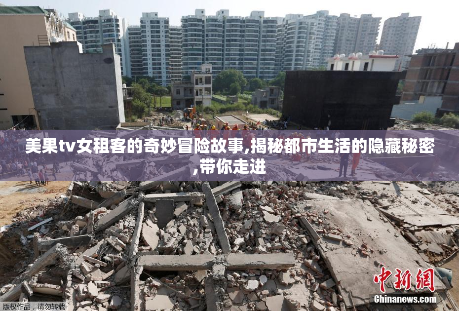 美果tv女租客的奇妙冒险故事,揭秘都市生活的隐藏秘密,带你走进
