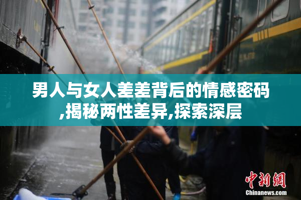 男人与女人差差背后的情感密码,揭秘两性差异,探索深层