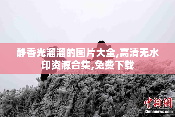 静香光溜溜的图片大全,高清无水印资源合集,免费下载