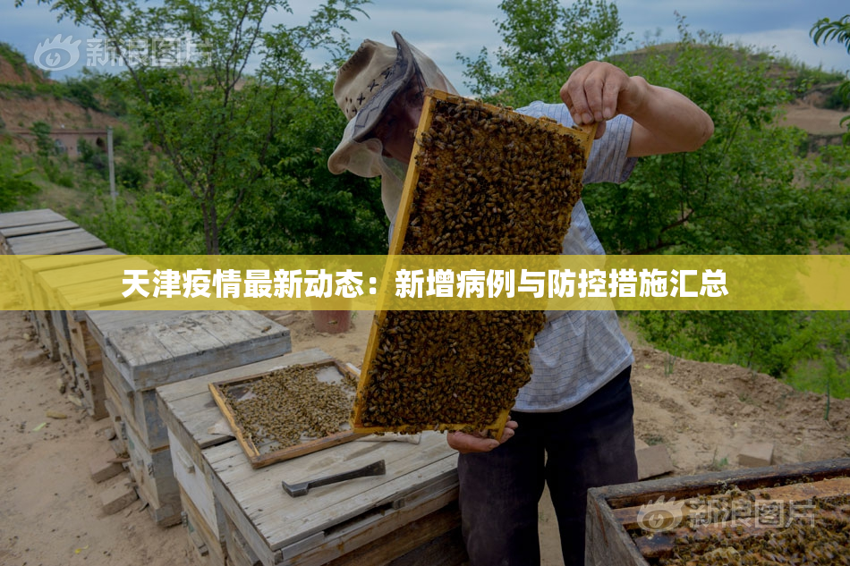 天津疫情最新动态：新增病例与防控措施汇总