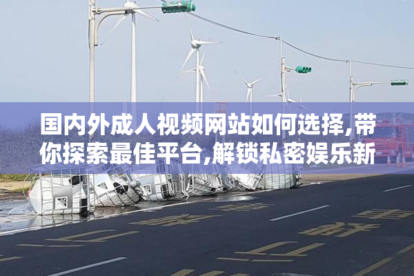 国内外成人视频网站如何选择,带你探索最佳平台,解锁私密娱乐新